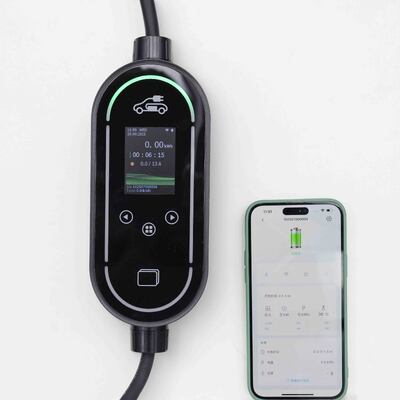 acquistare Caricabatterie EV Intelligente per Casa 3.68kW 16A con Display LCD Wi-Fi e Bluetooth fabbricazione online