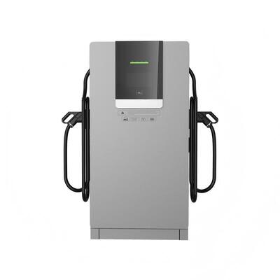 comprare Caricabatterie elettriche veloci a corrente continua da 60 kW con doppi connettori CCS2 per stazioni di ricarica commerciali fabbricazione online